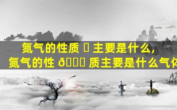 氮气的性质 ☘ 主要是什么,氮气的性 🐛 质主要是什么气体